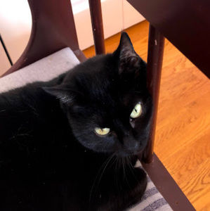 Meet your Posher, Ellie